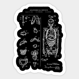 Medical Patent Print - Anatomical Skeleton Sticker